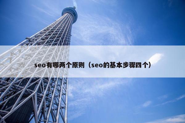 seo有哪两个原则（seo的基本步骤四个）