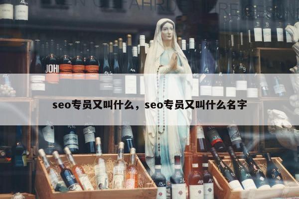 seo专员又叫什么，seo专员又叫什么名字