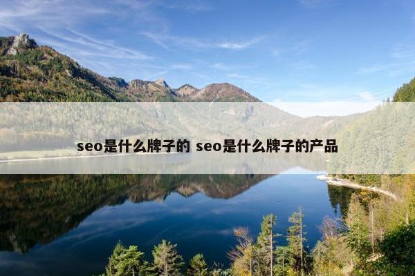 seo是什么牌子的 seo是什么牌子的产品