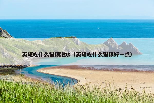 英短吃什么猫粮泡水（英短吃什么猫粮好一点）