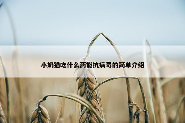 小奶猫吃什么药能抗病毒的简单介绍