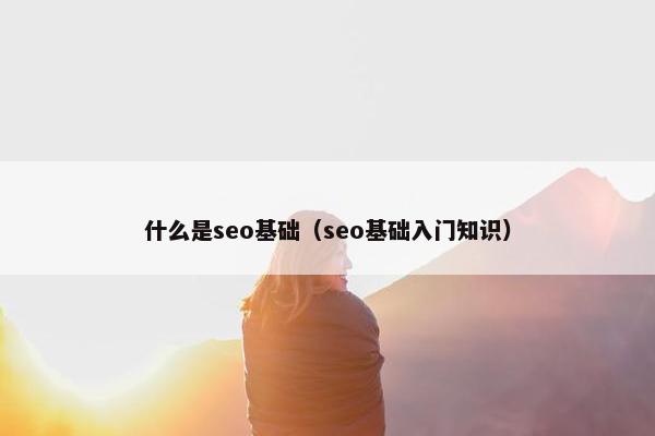 什么是seo基础（seo基础入门知识）