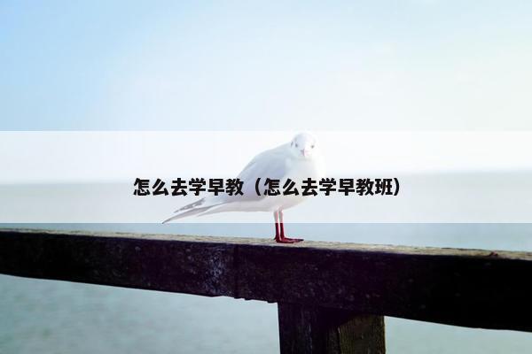 怎么去学早教（怎么去学早教班）