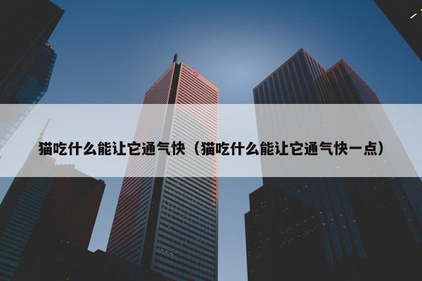 猫吃什么能让它通气快（猫吃什么能让它通气快一点）