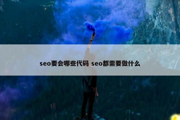 seo要会哪些代码 seo都需要做什么