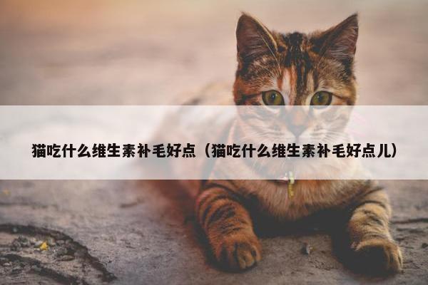 猫吃什么维生素补毛好点（猫吃什么维生素补毛好点儿）