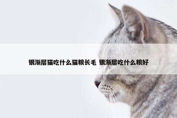 银渐层猫吃什么猫粮长毛 银渐层吃什么粮好