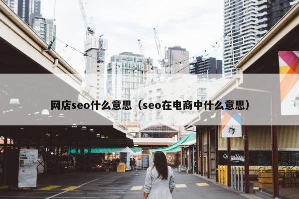 网店seo什么意思（seo在电商中什么意思）