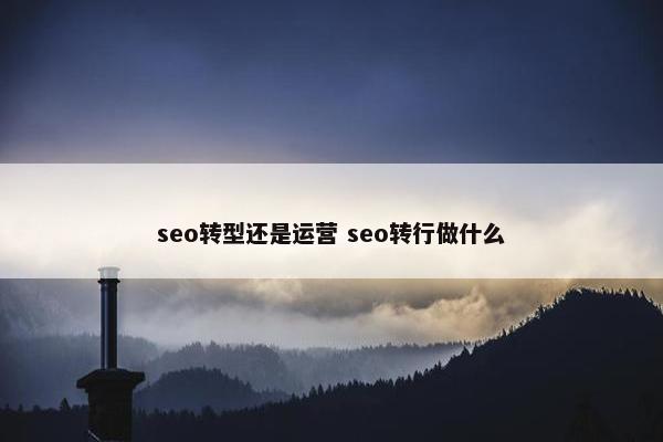 seo转型还是运营 seo转行做什么