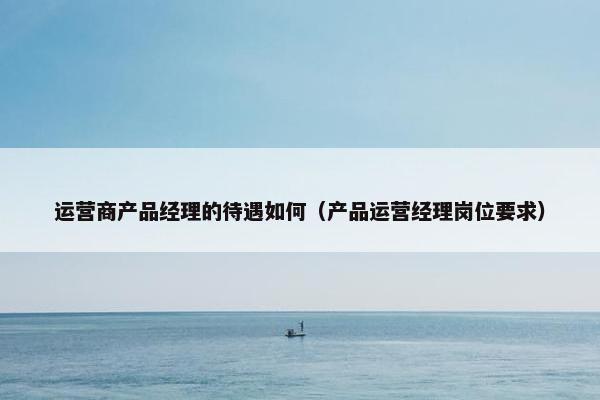 运营商产品经理的待遇如何（产品运营经理岗位要求）