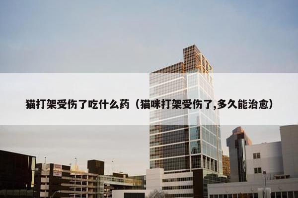 猫打架受伤了吃什么药（猫咪打架受伤了,多久能治愈）