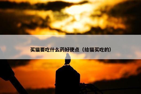 买猫要吃什么药好使点（给猫买吃的）