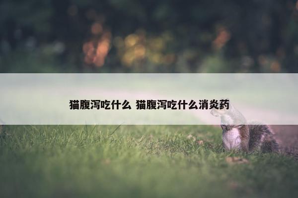 猫腹泻吃什么 猫腹泻吃什么消炎药