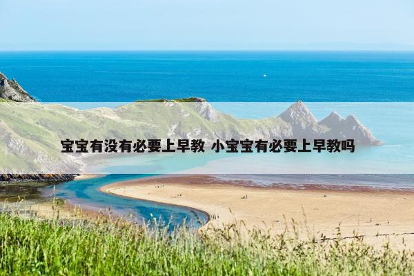 宝宝有没有必要上早教 小宝宝有必要上早教吗