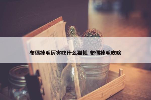 布偶掉毛厉害吃什么猫粮 布偶掉毛吃啥