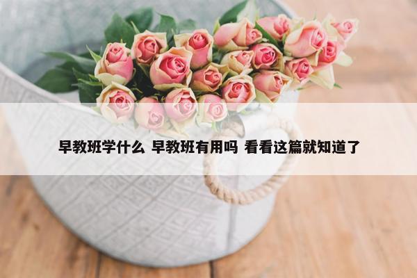 早教班学什么 早教班有用吗 看看这篇就知道了