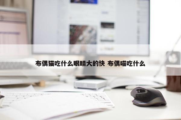 布偶猫吃什么眼睛大的快 布偶喵吃什么