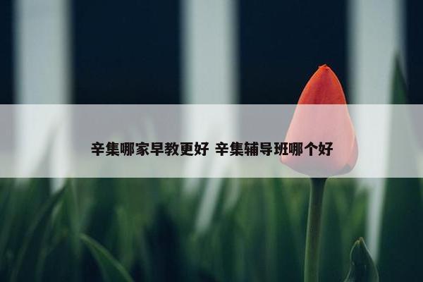 辛集哪家早教更好 辛集辅导班哪个好