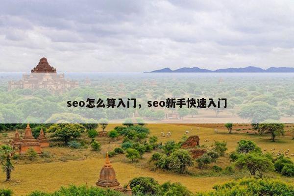 seo怎么算入门，seo新手快速入门