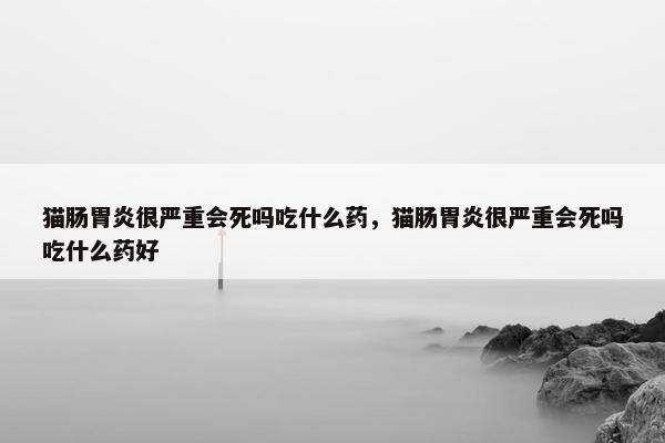 猫肠胃炎很严重会死吗吃什么药，猫肠胃炎很严重会死吗吃什么药好