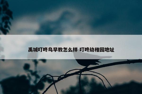 禹城叮咚鸟早教怎么样 叮咚幼稚园地址