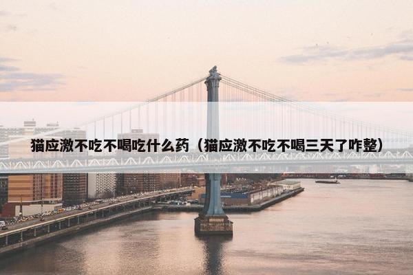 猫应激不吃不喝吃什么药（猫应激不吃不喝三天了咋整）