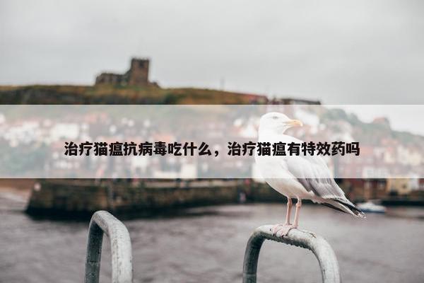 治疗猫瘟抗病毒吃什么，治疗猫瘟有特效药吗