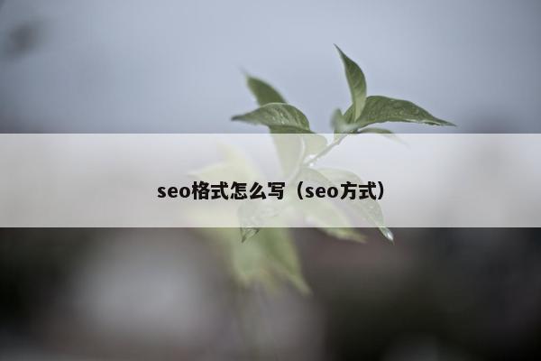 seo格式怎么写（seo方式）