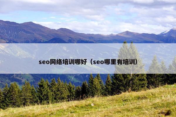 seo网络培训哪好（seo哪里有培训）