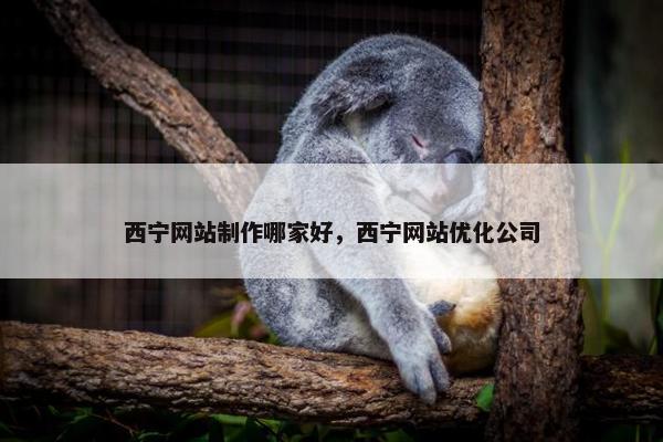 西宁网站制作哪家好，西宁网站优化公司