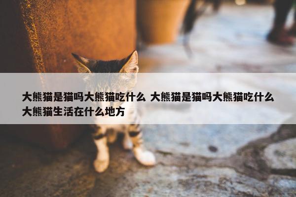 大熊猫是猫吗大熊猫吃什么 大熊猫是猫吗大熊猫吃什么大熊猫生活在什么地方