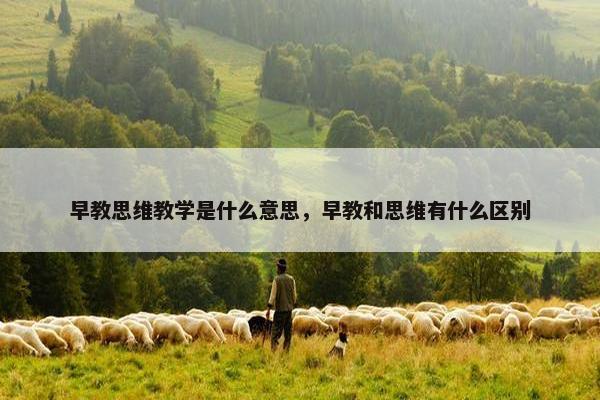 早教思维教学是什么意思，早教和思维有什么区别