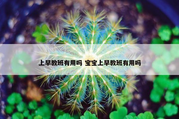 上早教班有用吗 宝宝上早教班有用吗