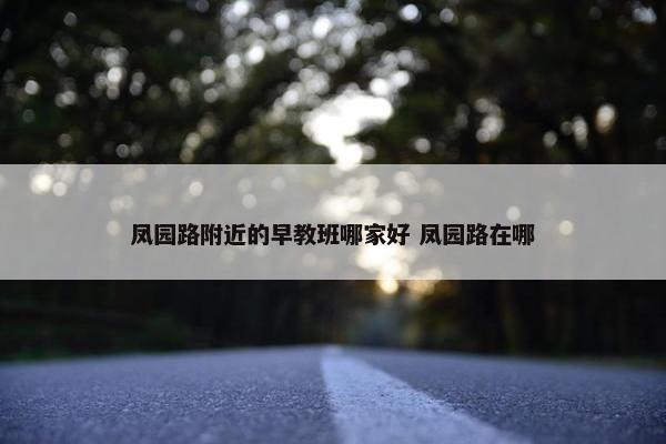 凤园路附近的早教班哪家好 凤园路在哪