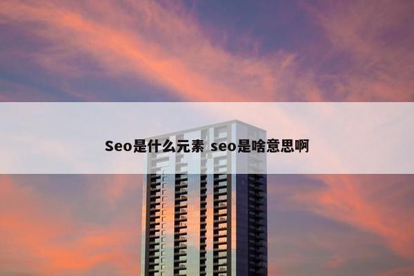 Seo是什么元素 seo是啥意思啊