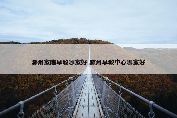 滁州家庭早教哪家好 滁州早教中心哪家好