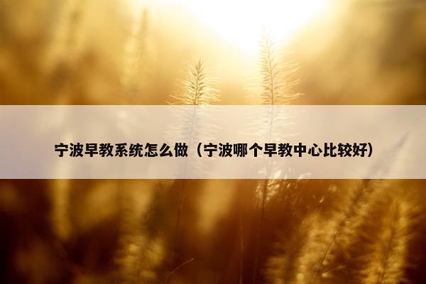 宁波早教系统怎么做（宁波哪个早教中心比较好）