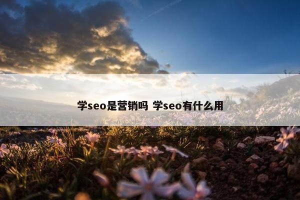 学seo是营销吗 学seo有什么用