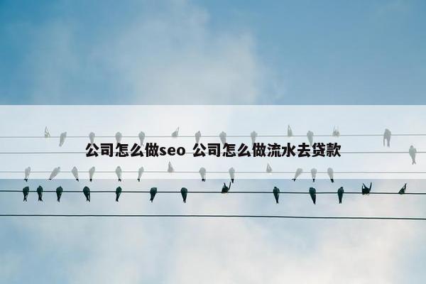 公司怎么做seo 公司怎么做流水去贷款