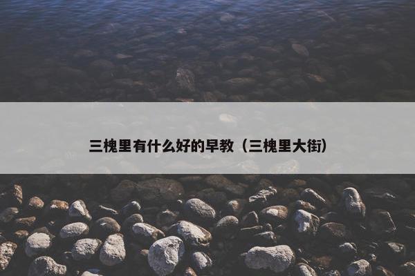 三槐里有什么好的早教（三槐里大街）