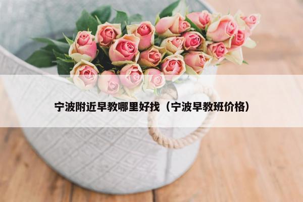 宁波附近早教哪里好找（宁波早教班价格）