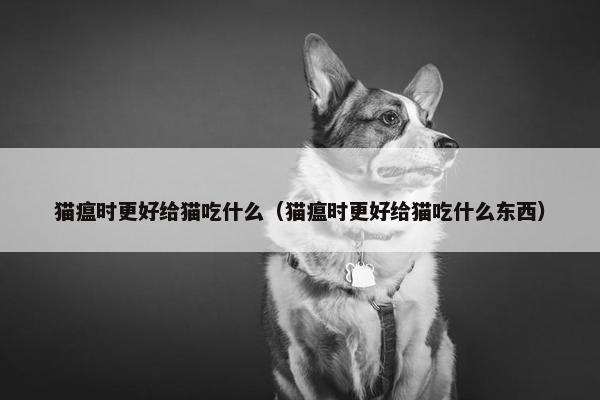 猫瘟时更好给猫吃什么（猫瘟时更好给猫吃什么东西）