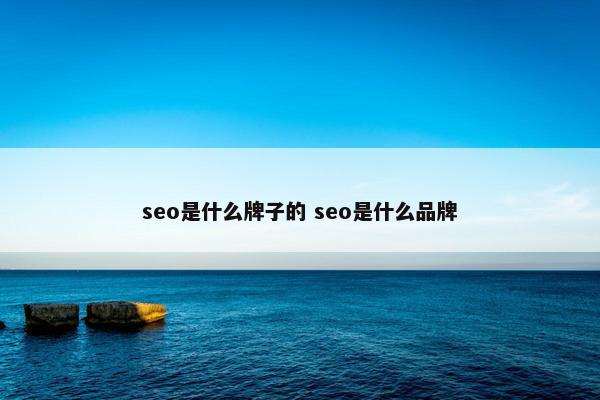 seo是什么牌子的 seo是什么品牌