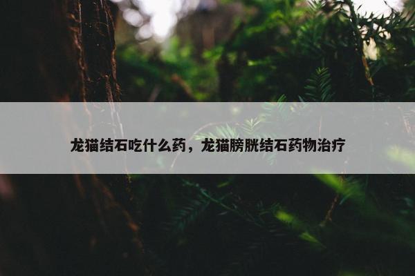 龙猫结石吃什么药，龙猫膀胱结石药物治疗