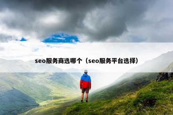 seo服务商选哪个（seo服务平台选择）