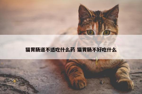 猫胃肠道不适吃什么药 猫胃肠不好吃什么