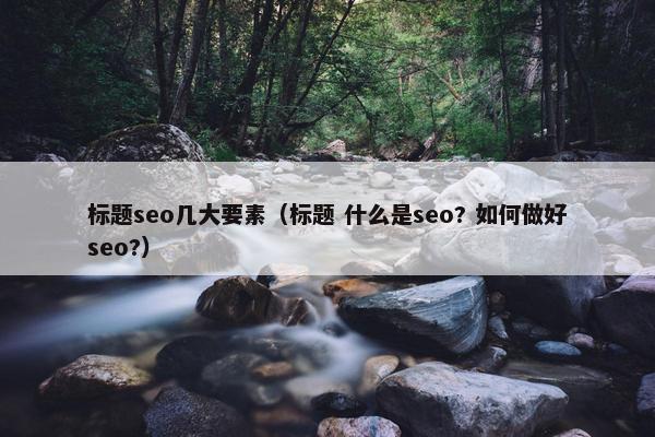 标题seo几大要素（标题 什么是seo? 如何做好seo?）