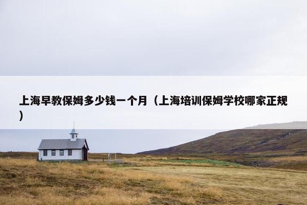 上海早教保姆多少钱一个月（上海培训保姆学校哪家正规）