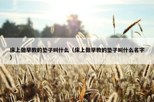 床上做早教的垫子叫什么（床上做早教的垫子叫什么名字）