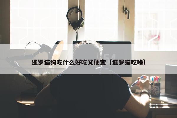 暹罗猫狗吃什么好吃又便宜（暹罗猫吃啥）